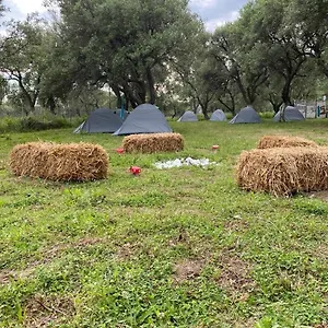 Glamping Cika's Camping, Borsh